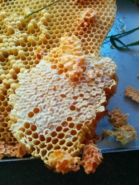 Ici c'est l'Ain - Ici c'est l'Ain